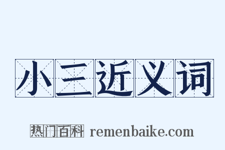 小三近义词是什么意思的图片